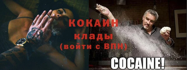 индика Богданович