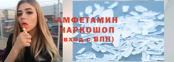 индика Богданович