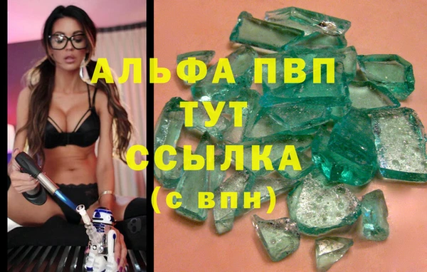 индика Богданович