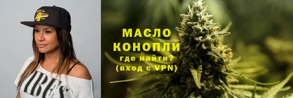 мдпв Верхний Тагил