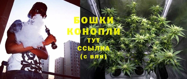 индика Богданович