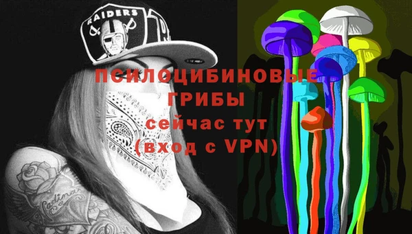 индика Богданович
