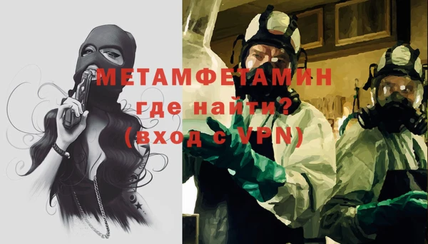 индика Богданович