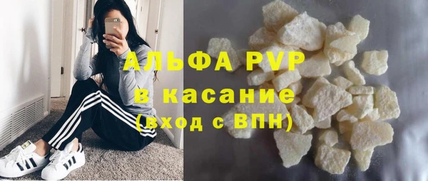 индика Богданович