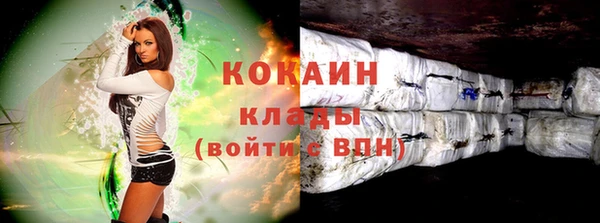 индика Богданович